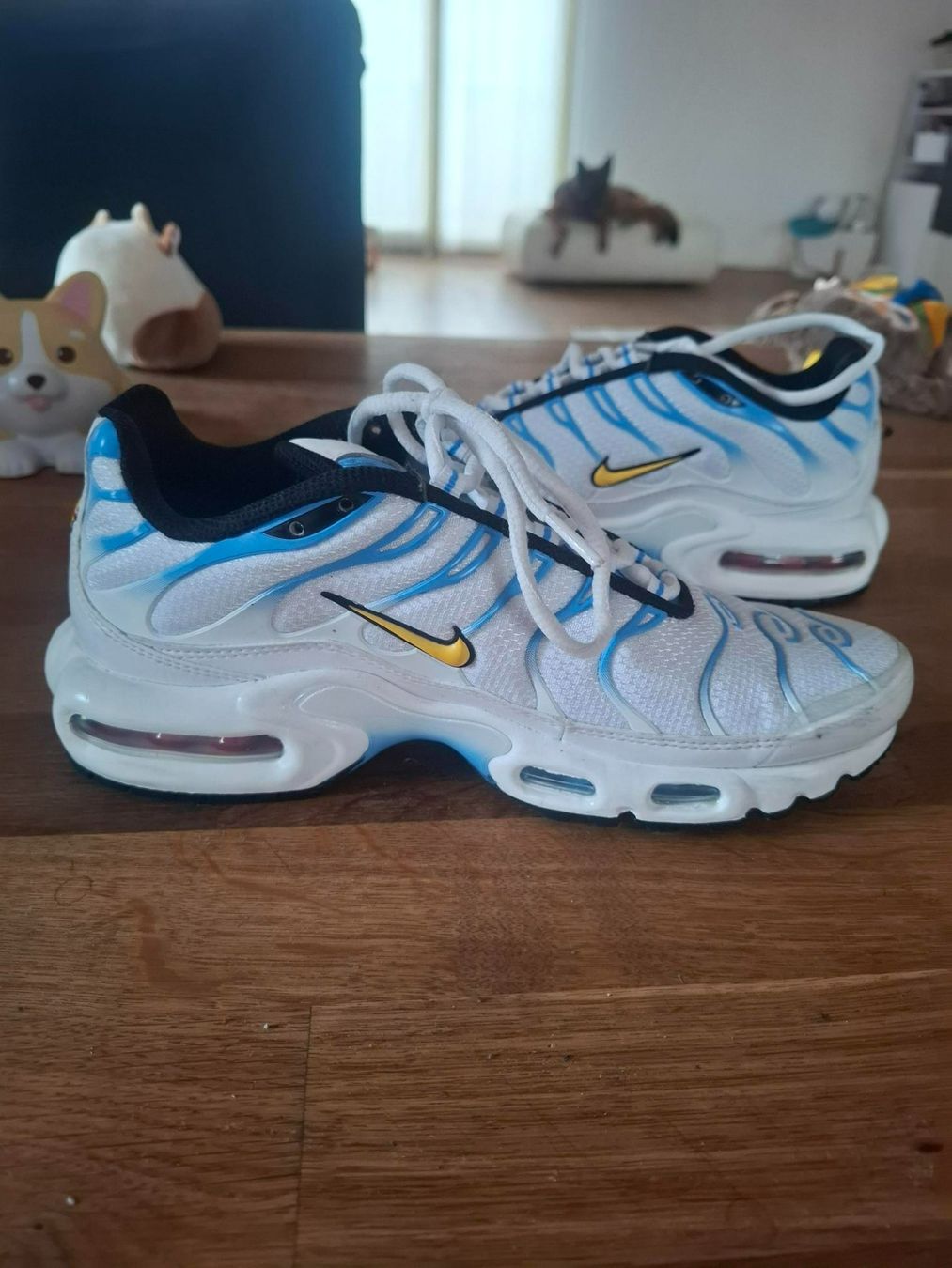Nike Scarpe da uomo: Neue Nike Air Max Plus grösse 37 – Nuovo e nell'imballaggio originale da Samstagern venduto da minimaus4444 1
