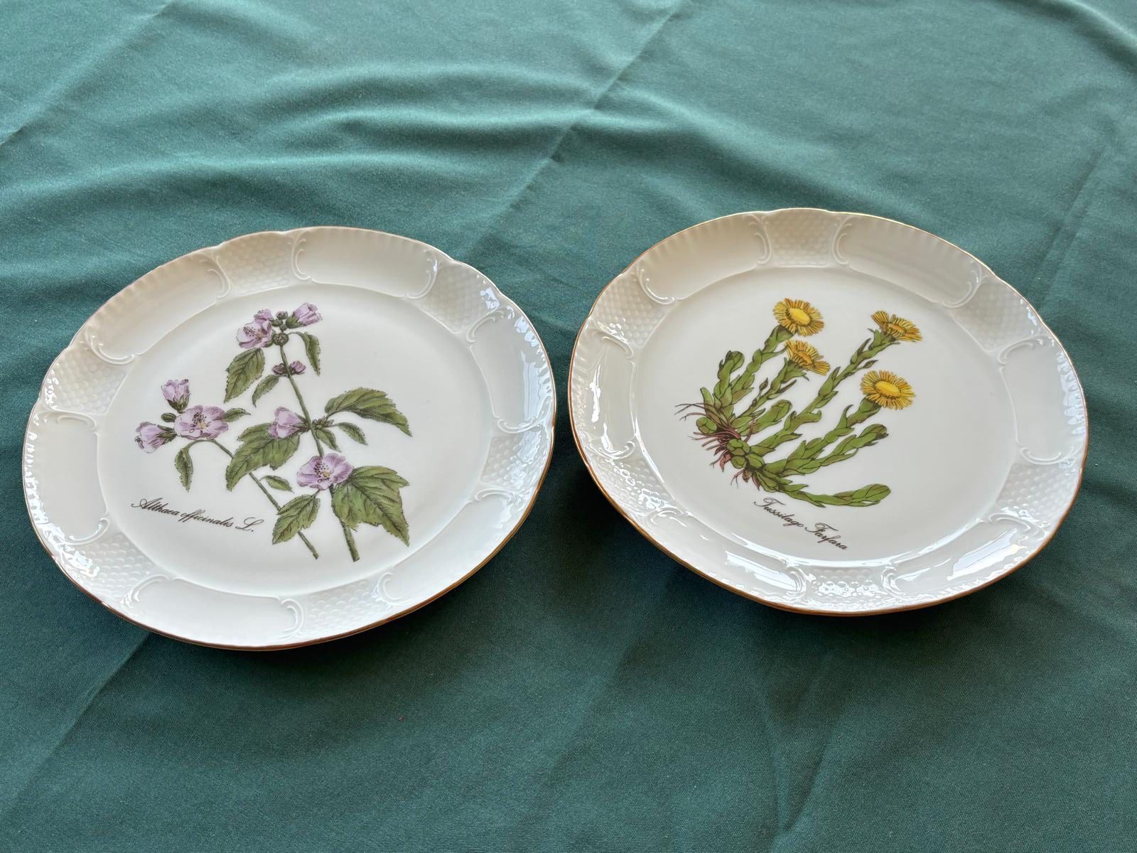 Piatti: 2 Stück Wandteller, Langenthal, Blumenmotiv – Usato da Bubikon venduto da lontalk