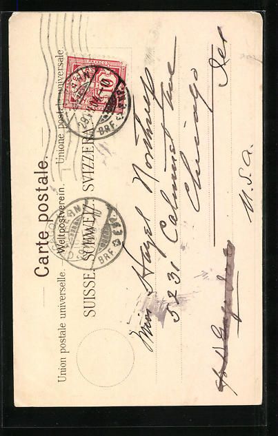 Cartoline postali: Lithographie Lucerne, Swan-Hotel-Cygne – Usato da Berlin venduto da bartko-reher 1