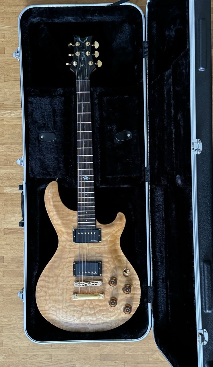 Strumenti musicali: Dean Hardtail E-Gitarre mit Koffer, neuwertig! – Nuovo (secondo la descrizione) da Luzern venduto da Combi 6