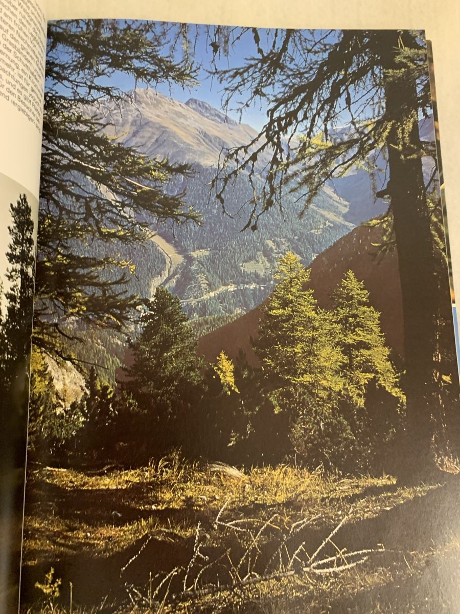 Libri: "Der Schweizerische Nationalpark" - SILVA VERLAG – Nuovo (secondo la descrizione) da Erlenbach ZH venduto da Ritschly 5