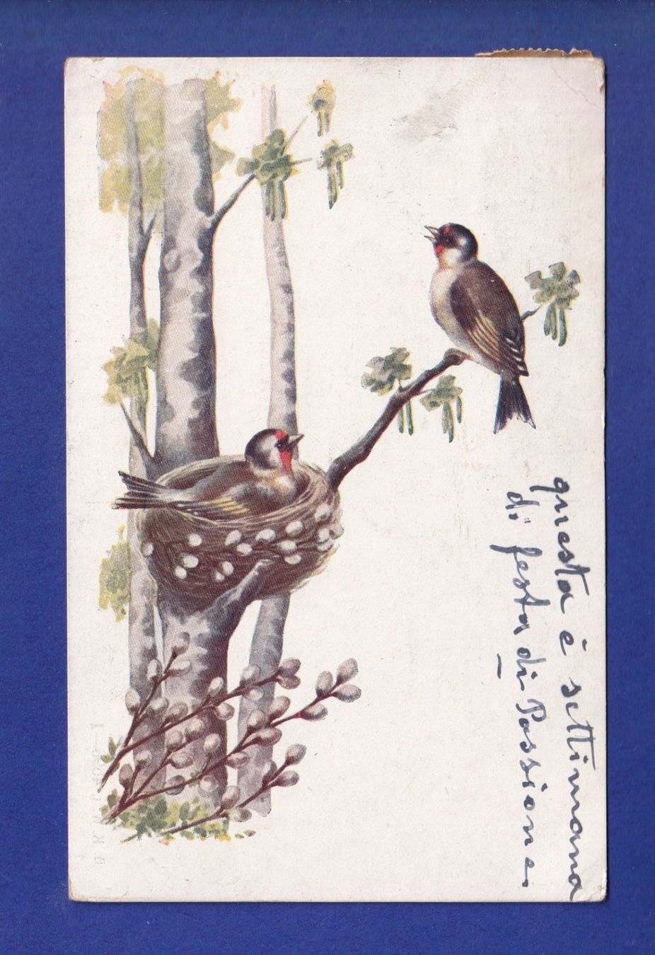 Cartoline postali: OISEAU - Nid – Usato da Pully venduto da nicecards-shop