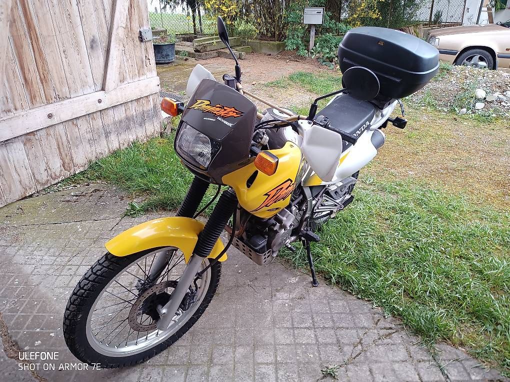 Enduro:  Honda NX 650 Dominator  – Gebraucht aus Suhr von ManuDe