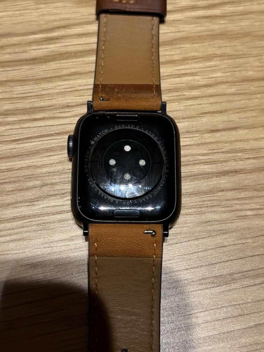 Apple Smartwatch: Apple Watch – Usato da Domat/ems venduto da Vivs 1