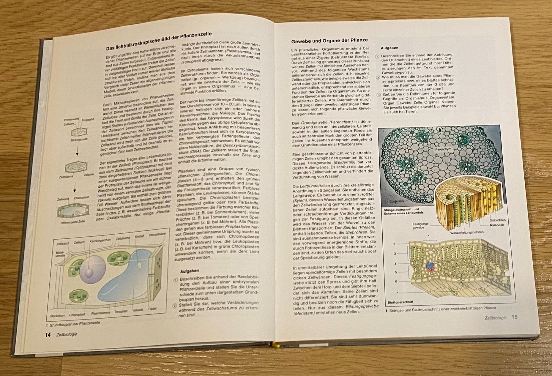 Libri: Natura Buch – Usato da Emmenbrücke venduto da Florentina27 2