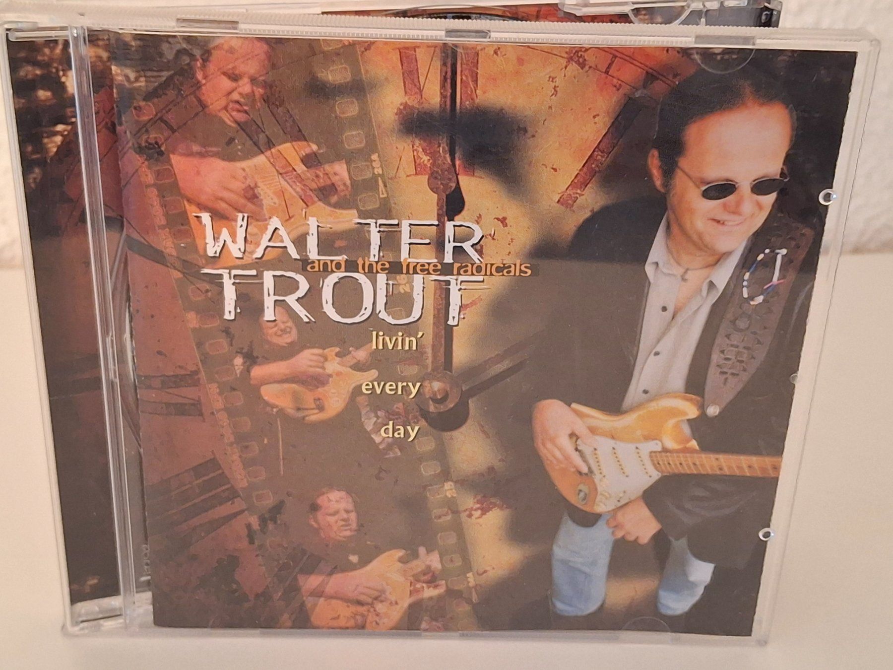 CD: CD Walter Trout - Livin' Every Day - – Usato da Aarberg venduto da Jackup1