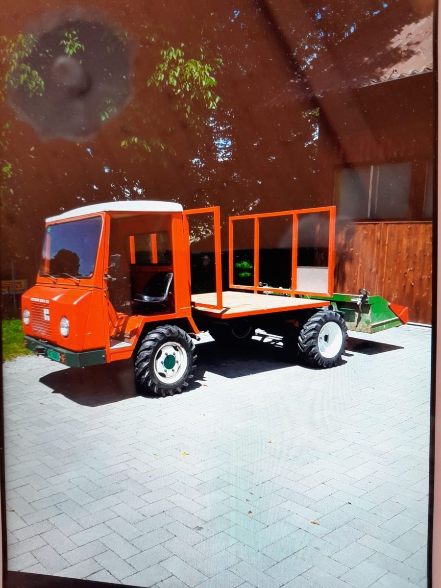 Reform Tracteurs: Transporter Reform Muli 33 – D'occasion à Sigriswil par ck56 1