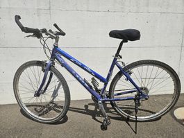 Damen Fahrrad