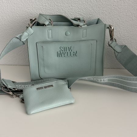 Steve Madden Blivonia Tasche hellblau 