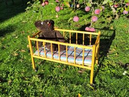 Puppenbett aus Holz mit Matratze gebraucht in gutem Zustand