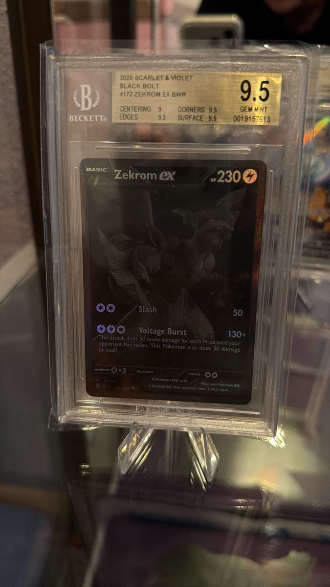 Pokémon Cartes à collectionner: Zekrom bgs 9.5 Eng  – Neuf (Voir description) à Carabbia par _shadoweclipse.tcg_