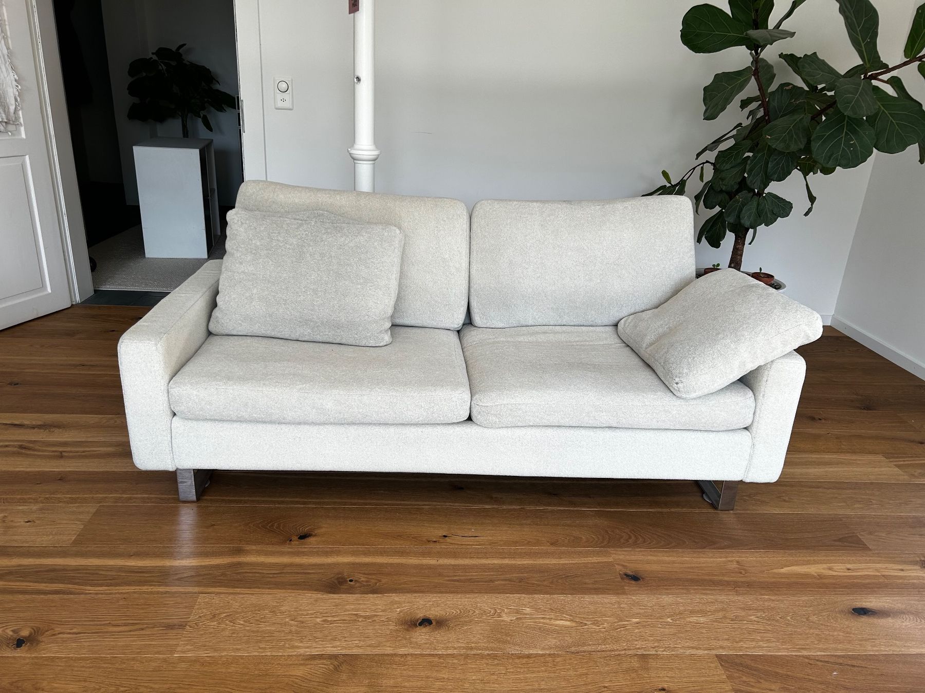 Divani: Cor Conseta Sofa hellbeige, sehr bequem – Usato da Chur venduto da lea_qg88 1