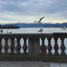 Profile image of Valerie_Zuerisee