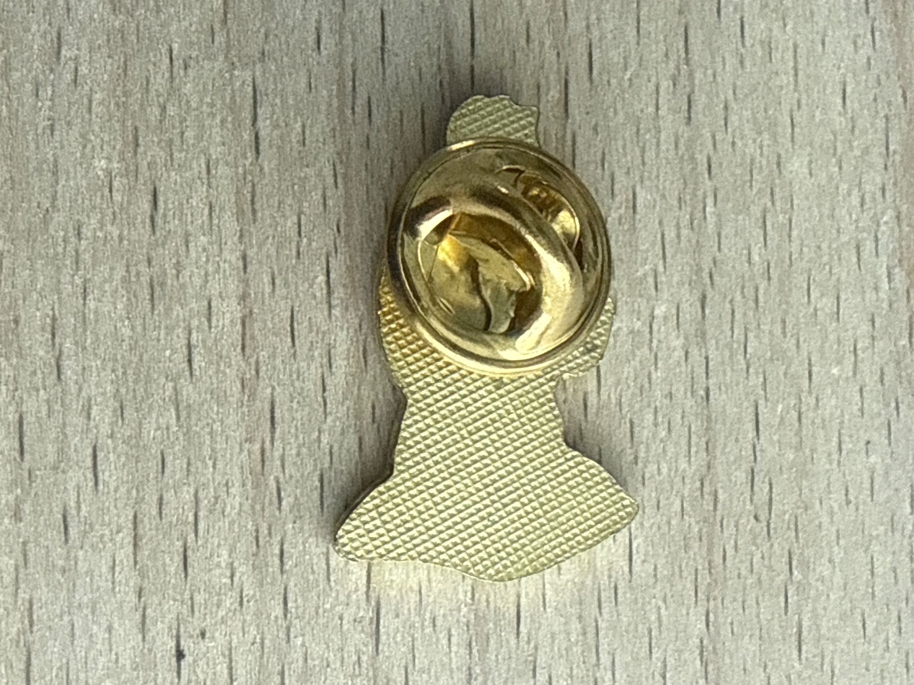 Placchette & Badge: Pin Tim – Usato da Glattbrugg venduto da Schweigmatt 1