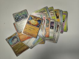 Pokémon Sammelkarten Konvolut verschiedene Editionen