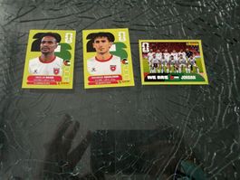 WM 2026 - Panini - Jordan