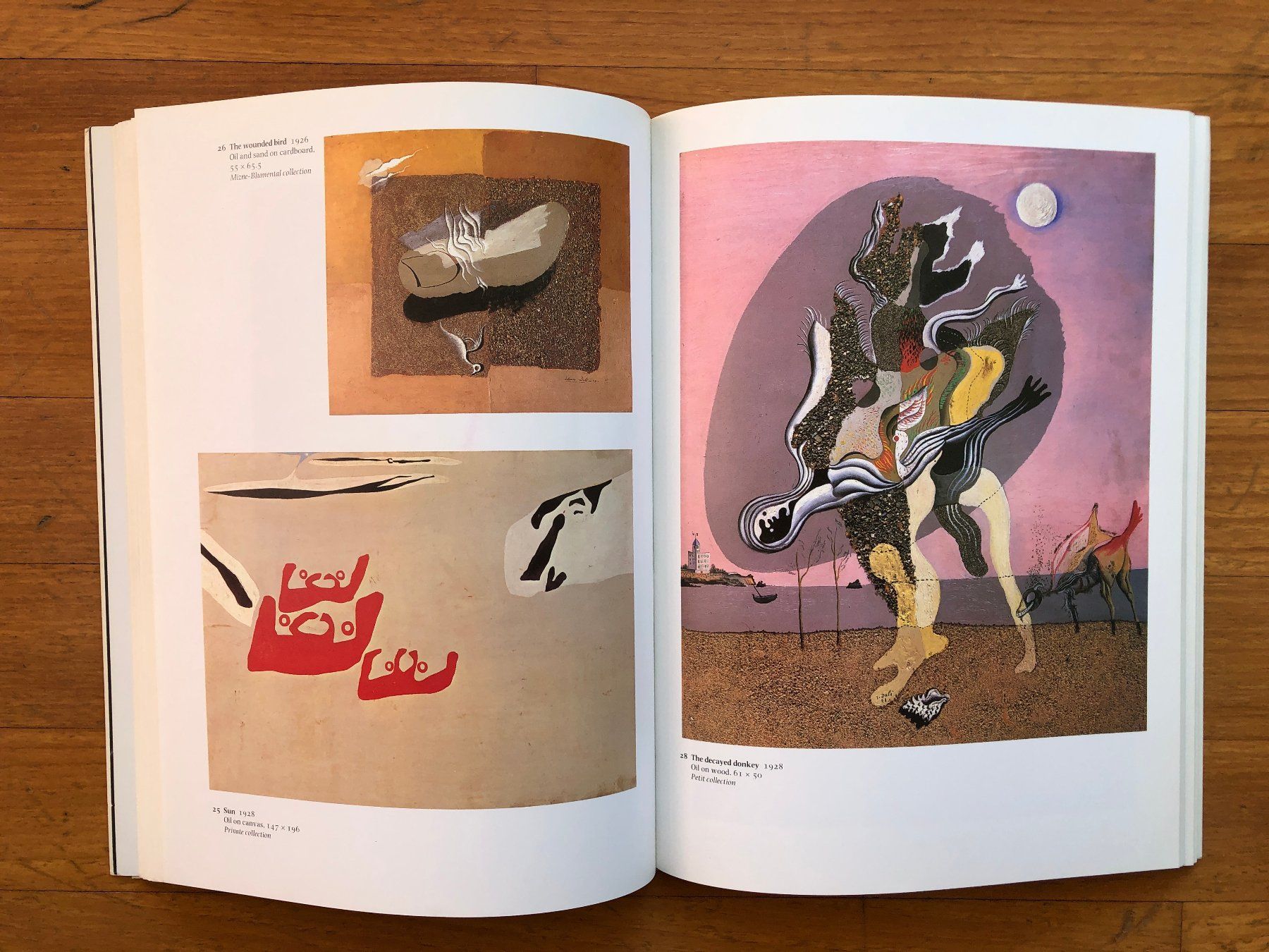 Libri: Kunst Buch: SALVADOR DALI - Tate Gallery – Usato da Lugano venduto da gio.yo 5