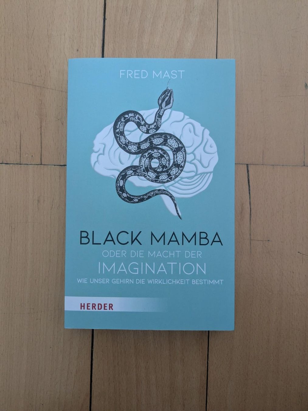 Libri: Black Mamba oder die Macht der Imagination - Fred Mast – Nuovo (secondo la descrizione) da Zürich venduto da reb_gdl9