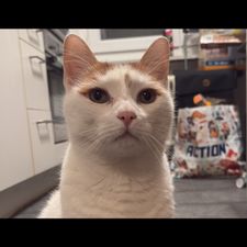 Profile image of ich_8frx