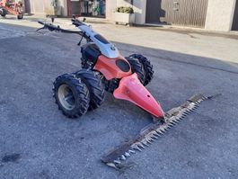 Motormäher Aebi CC 66
