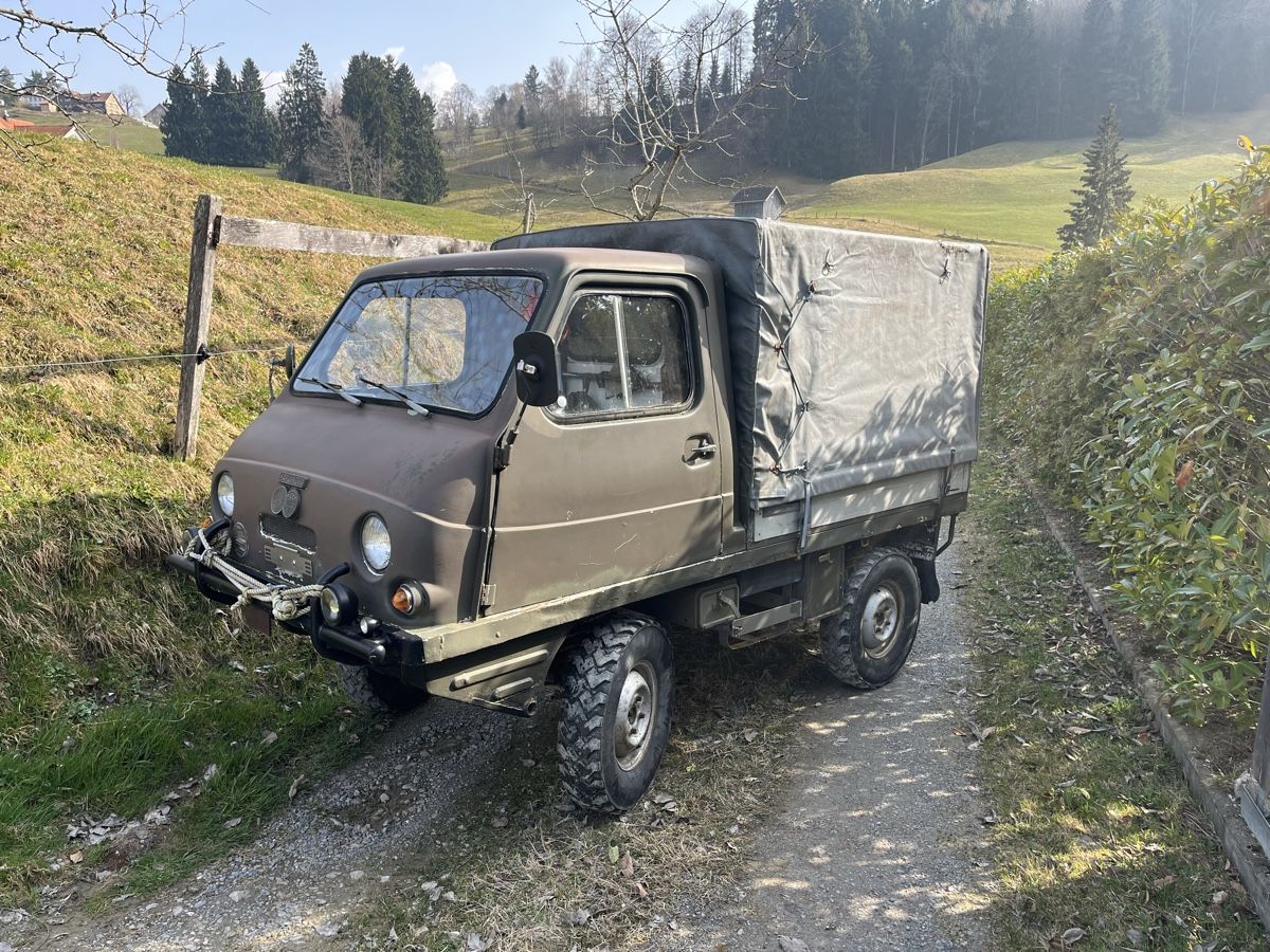 Steyr-Puch Nutzfahrzeuge: Haflinger,Steyr-Puch Haflinger 700 AP  – Gebraucht aus Teufen AR von Pumi1971