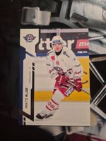 Mats Alge Rapperswil Jona Lakers Sportzoo 2024/25