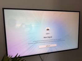 Samsung TV 43 Zoll