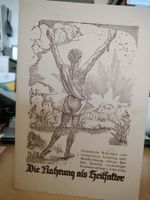Die Nahrung als heilfaktor