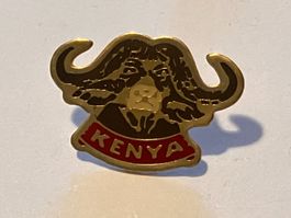 1 Pin Kenya