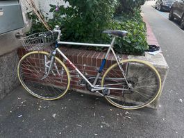 ALPA Renner Velo mit Korb