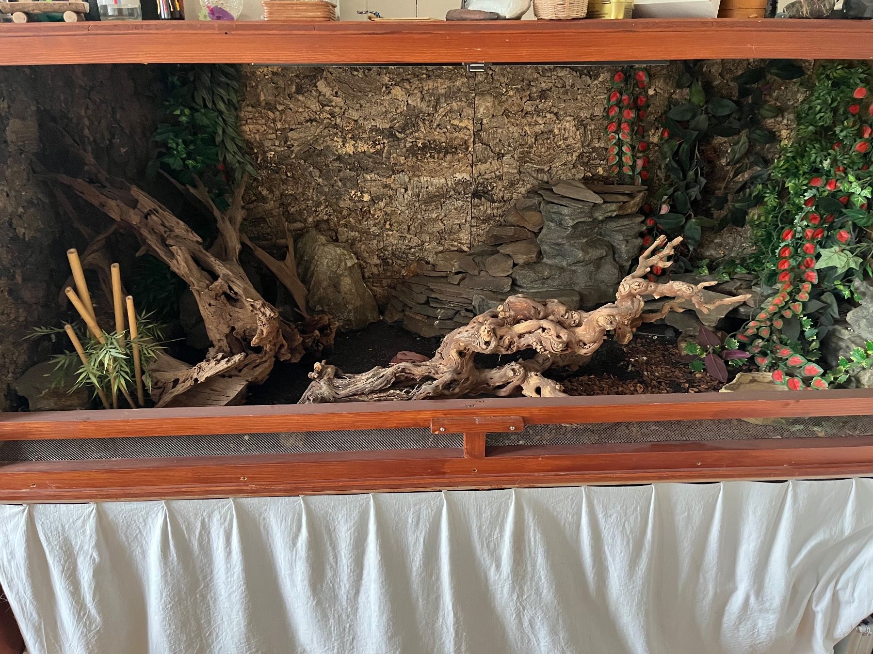 Terrario: Terrarium – Usato da Limpach venduto da Fscostar 1
