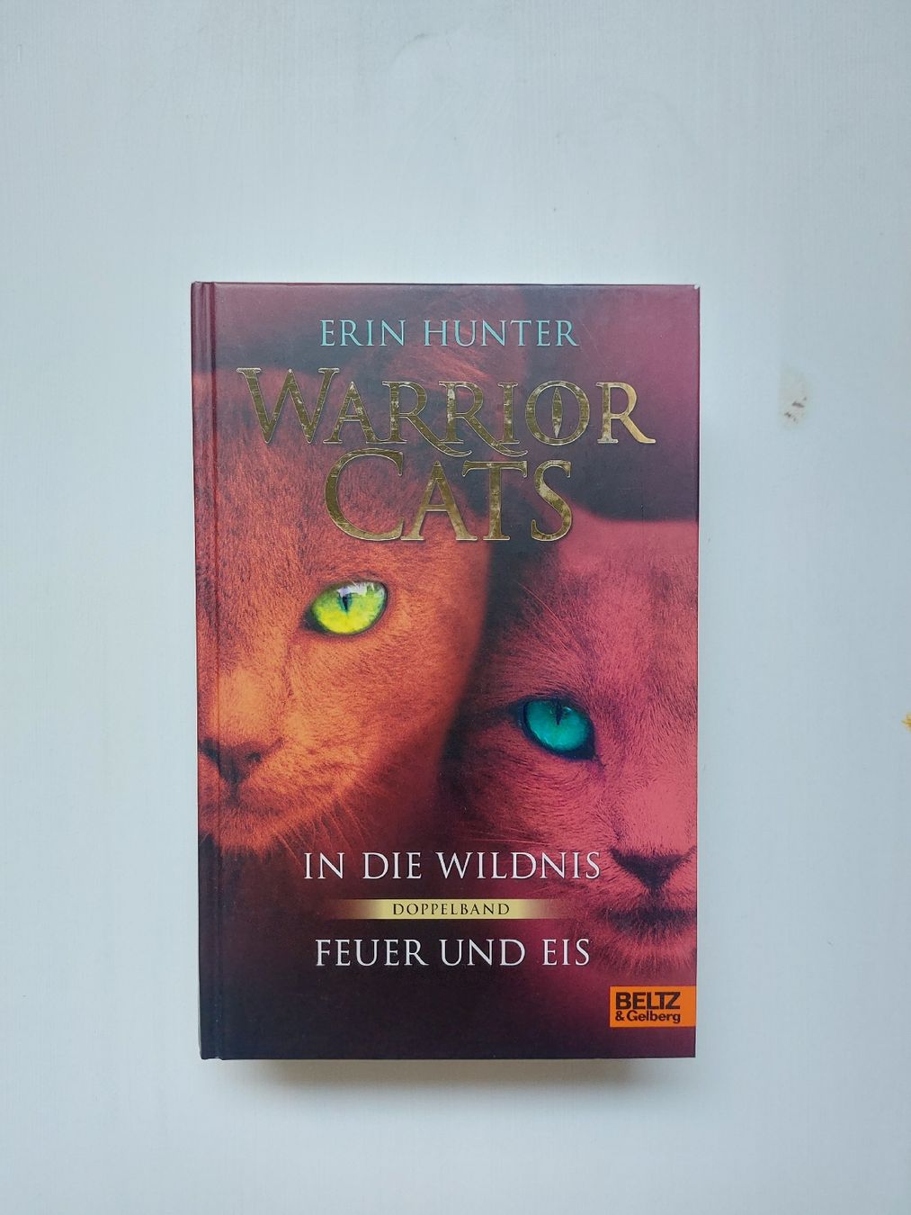 Bücher: Warrior Cats Doppelband 1 &2  – Neu (gemäss Beschreibung) aus Brunnen von livasophiaa