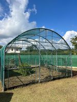 Grosses Gewächshaus für den Garten