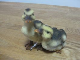 Allerliebstes ENTEN Paar