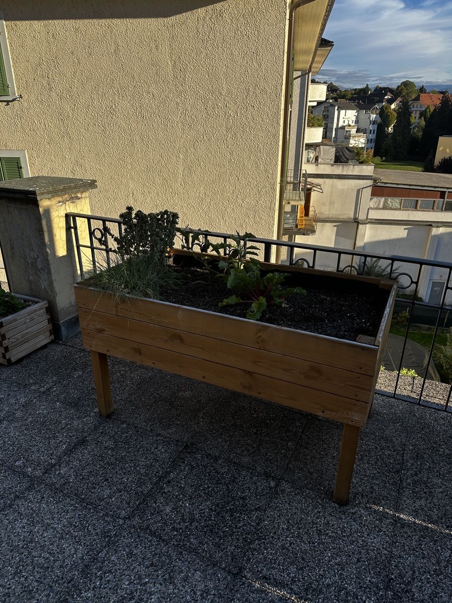 Vasi per fiori: Landi Hochbeet – Usato da Düdingen venduto da kleidungsmarktplatz 1
