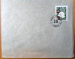Gebirgs Grenz Füsilier Bat 208, Wi Gz 80-7, 2.WK