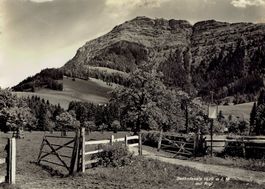 Küssnacht - Seebodenalp SZ, um 1955