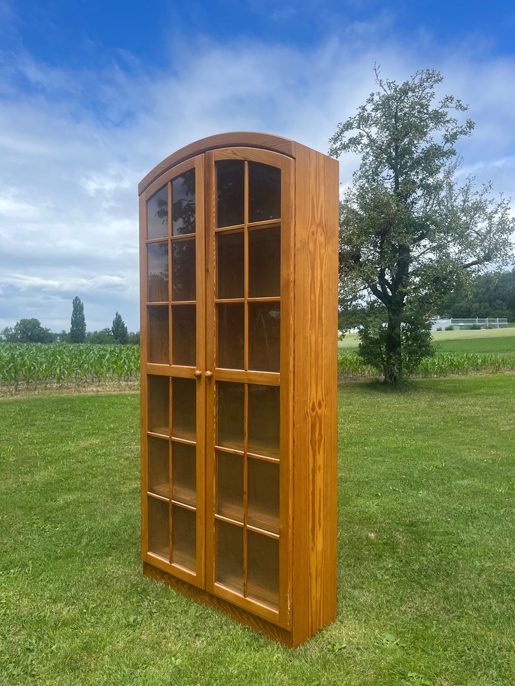 Vetrine: Vitrine mit 2 Türen – Usato da Allmendingen b. BE venduto da juair 1