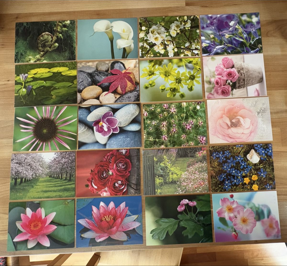 Cartoline postali: 20 AK Pflanzen / Blumen – Nuovo (secondo la descrizione) da Rümlang venduto da Kartenpost1