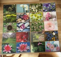 20 AK Pflanzen / Blumen