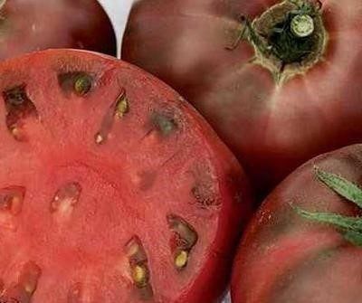 Pflanzen & Samen: 50 Samen Schwarze Tomate CARBON – Neu (gemäss Beschreibung) aus Ehrendingen von VerveinaSamen 1