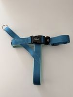 Nobby Classic Preno Hundegeschirr M–L gepolstert blau/türkis