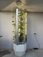 Greeny Gardentower Indoor Growing 