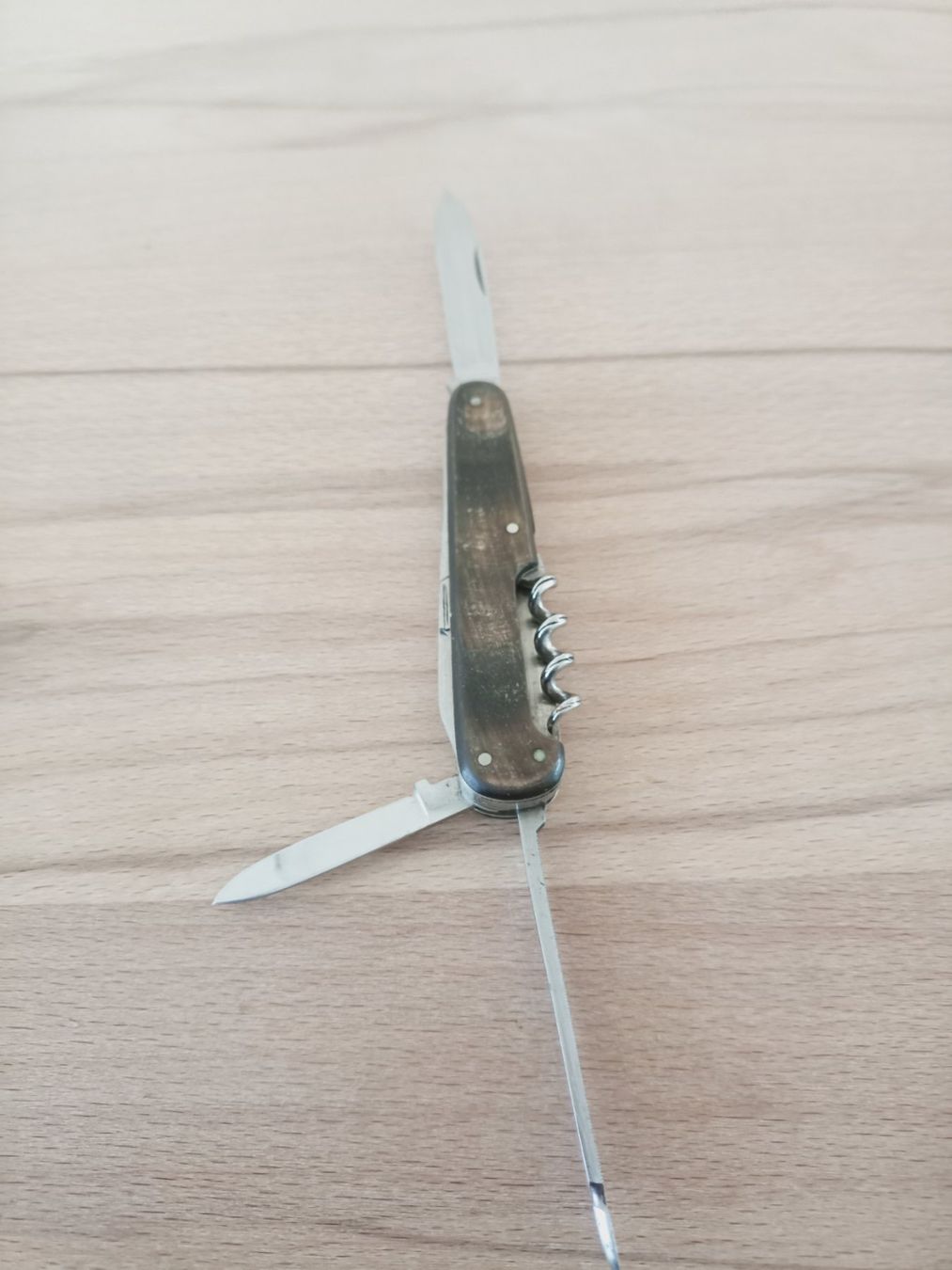 Coltelli tascabile: Seltenes Sackmesser "PROTEA" mit Horngriffe genietet. – Usato da Tuebach venduto da bac_7kpb 6