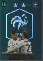 PANINI TOP CLASS 23 Sinergry Card FOIL 222 HERNANDEZ