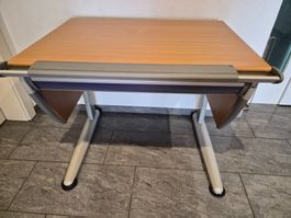 Kinderpult Moll