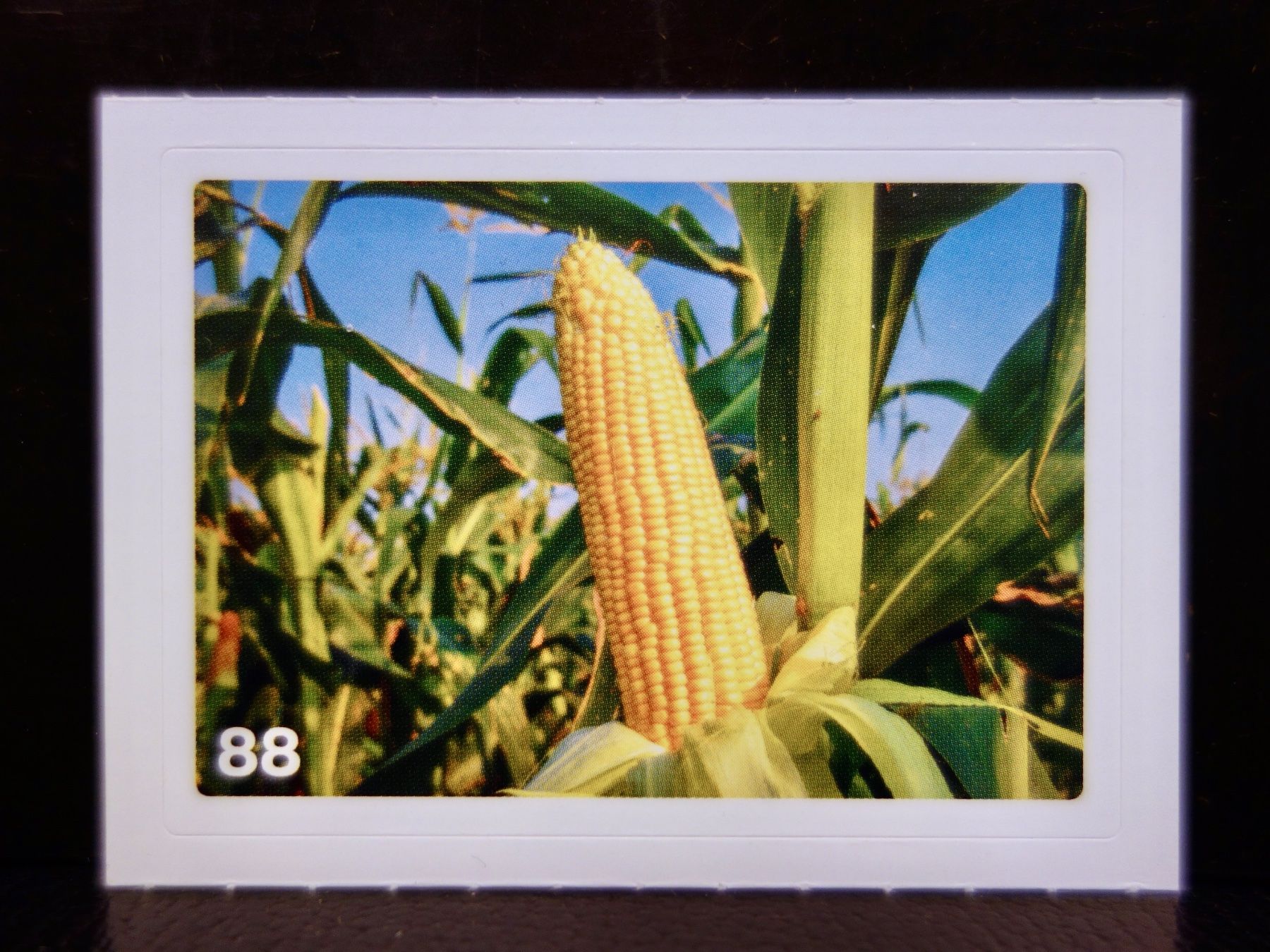 Migros Carte collezionabili: MIGROS MANIA Nature Detectives Nr. 88 – Nuovo e nell'imballaggio originale da Kerzers venduto da djstarsky73