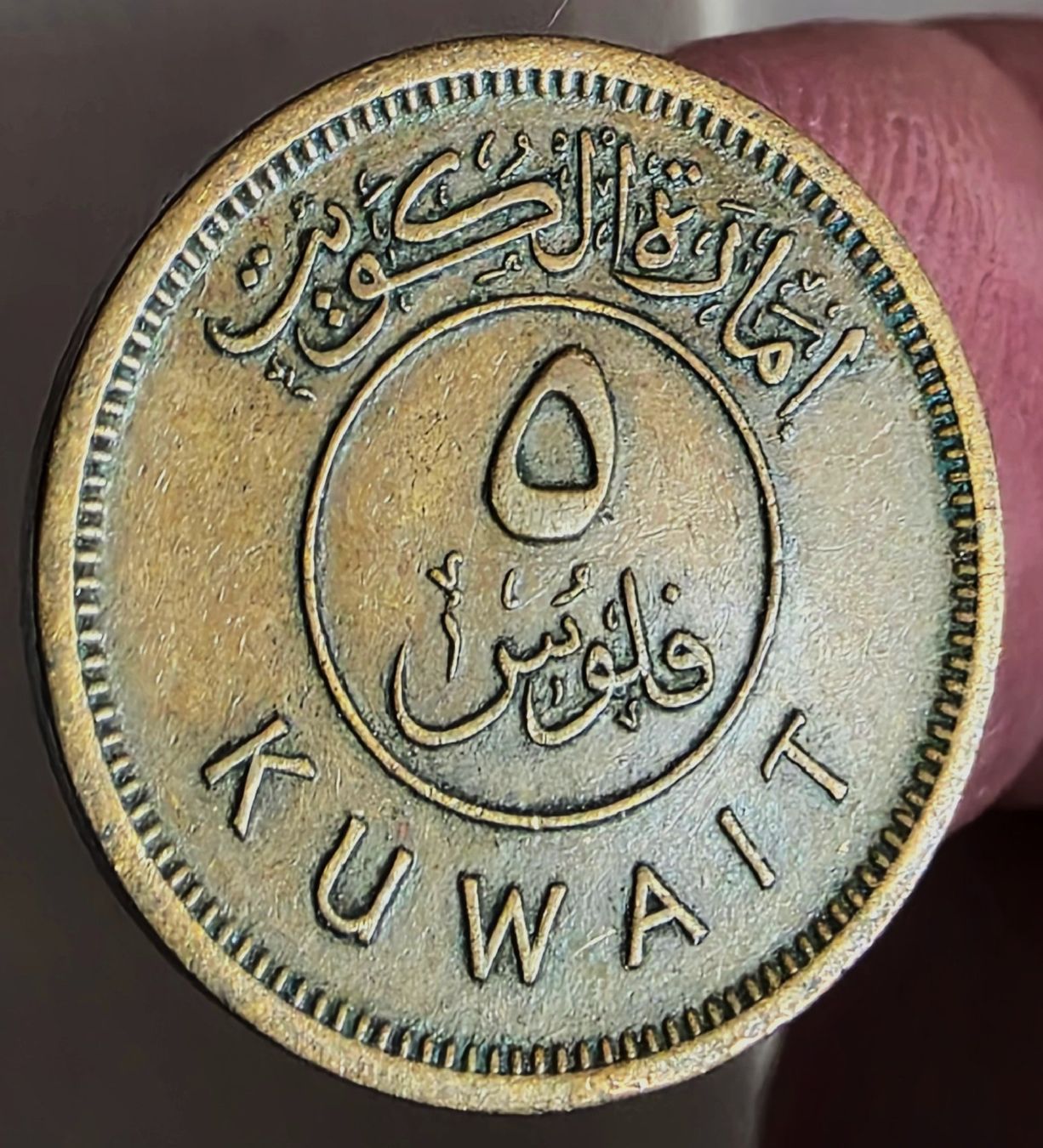 Tutti le monete: KUWAIT 5 FILS 1380/1961 – Usato da winterthur venduto da CoinPassion 1