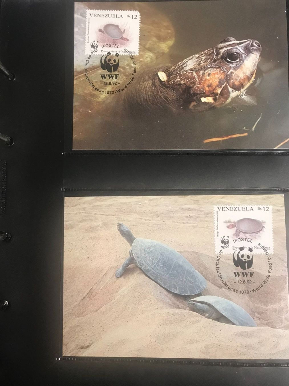 Alle Briefmarken: WWF Venezuela 1992 Satz Schildkröten Maximumkarten – Neu (gemäss Beschreibung) aus Winterthur von schnueps