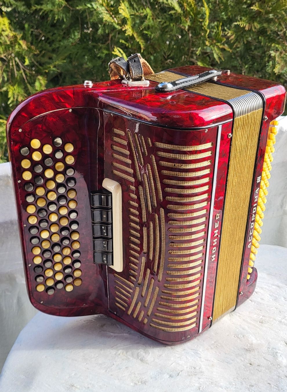Hohner Musikinstrumente: Accordéon hohner Accordina III – Gebraucht aus Penthalaz von EvandroLuz 1
